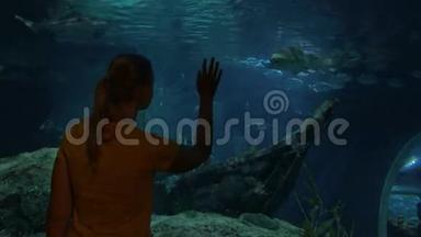 女人看着鲨鱼在大水族馆。 泰国曼谷暹罗海洋世界